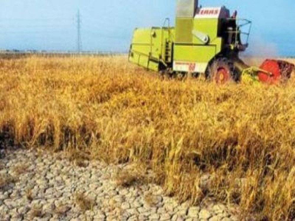 Buletin agrometeorologic pentru perioada 27-31 august