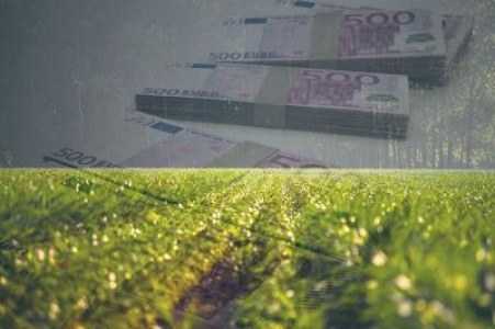 Aprobat! Fermierii pot primi un avans de pana la 85% din sprijin