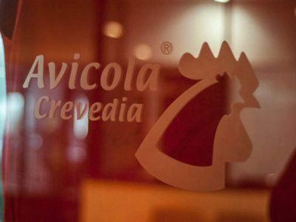 Avicola Crevedia, vanduta catre grupul Vitall din Dolj