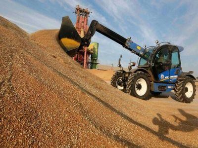 Crestere a exporturilor de cereale in primele luni din an