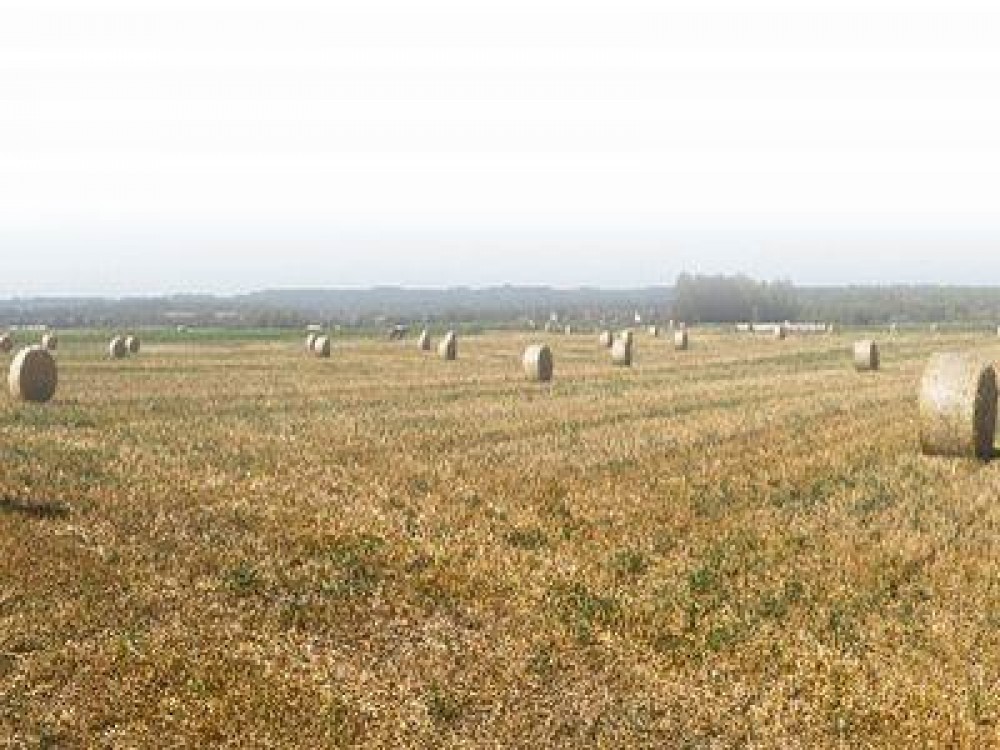 Buletin agrometeorologic pentru perioada 12-16 noiembrie