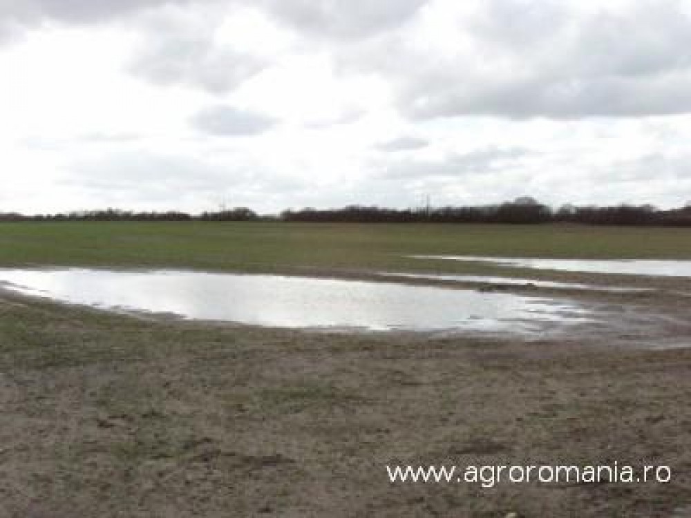 Ploaia a produs pagube pe 400 de hectare la Braila