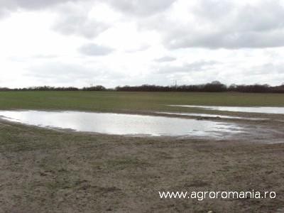 Ploaia a produs pagube pe 400 de hectare la Braila