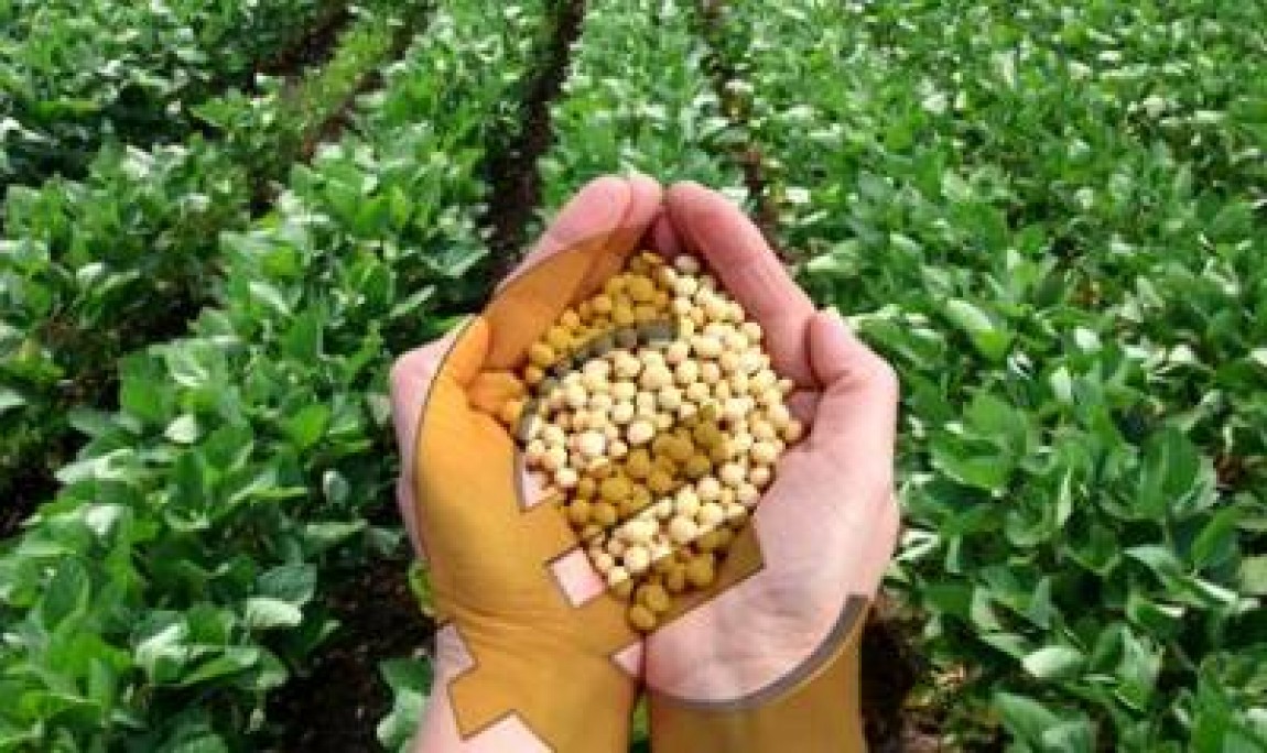 Bugetul de stat 2020. Ministerul Agriculturii pierde bani