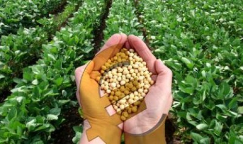 Bugetul de stat 2020. Ministerul Agriculturii pierde bani