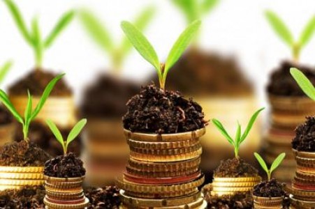 APIA a platit aproape 700 de milioane de euro fermierilor