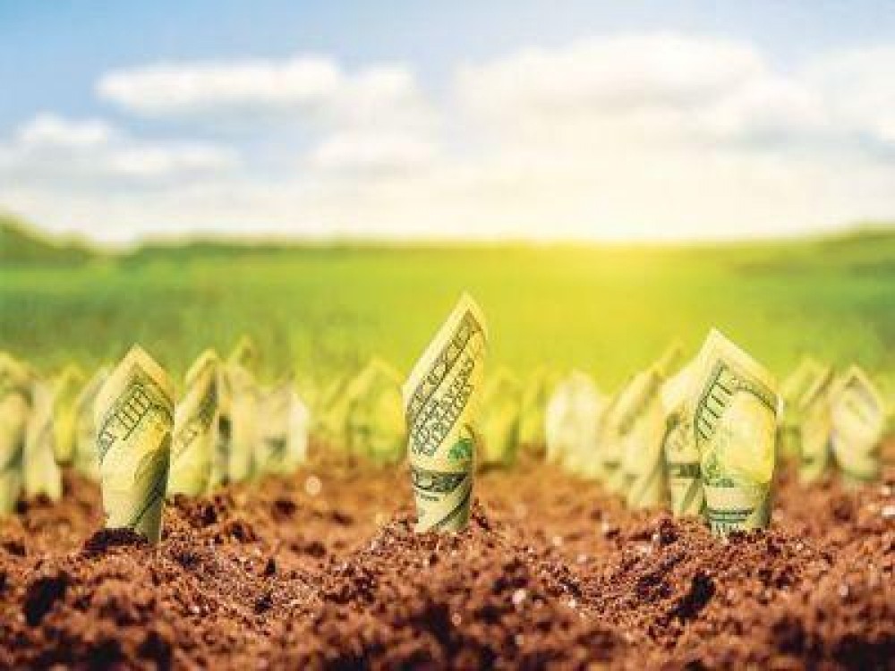 Au promis ca nu vor mai intarzia cu platile. Vezi ce schimbari se vor produce in mecanismul rambursarii sumelor investite in proiecte europene, pe agricultura