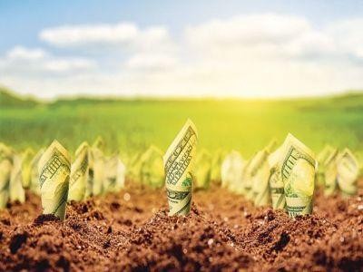 Au promis ca nu vor mai intarzia cu platile. Vezi ce schimbari se vor produce in mecanismul rambursarii sumelor investite in proiecte europene, pe agricultura