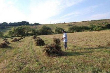 Ce sanctiuni risca fermierii care nu respecta conditiile de incasare a banilor pentru agromediu si zone defavorizate