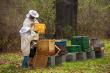 Banii alocati apicultorilor in 2022 prin PNA, mai multi!