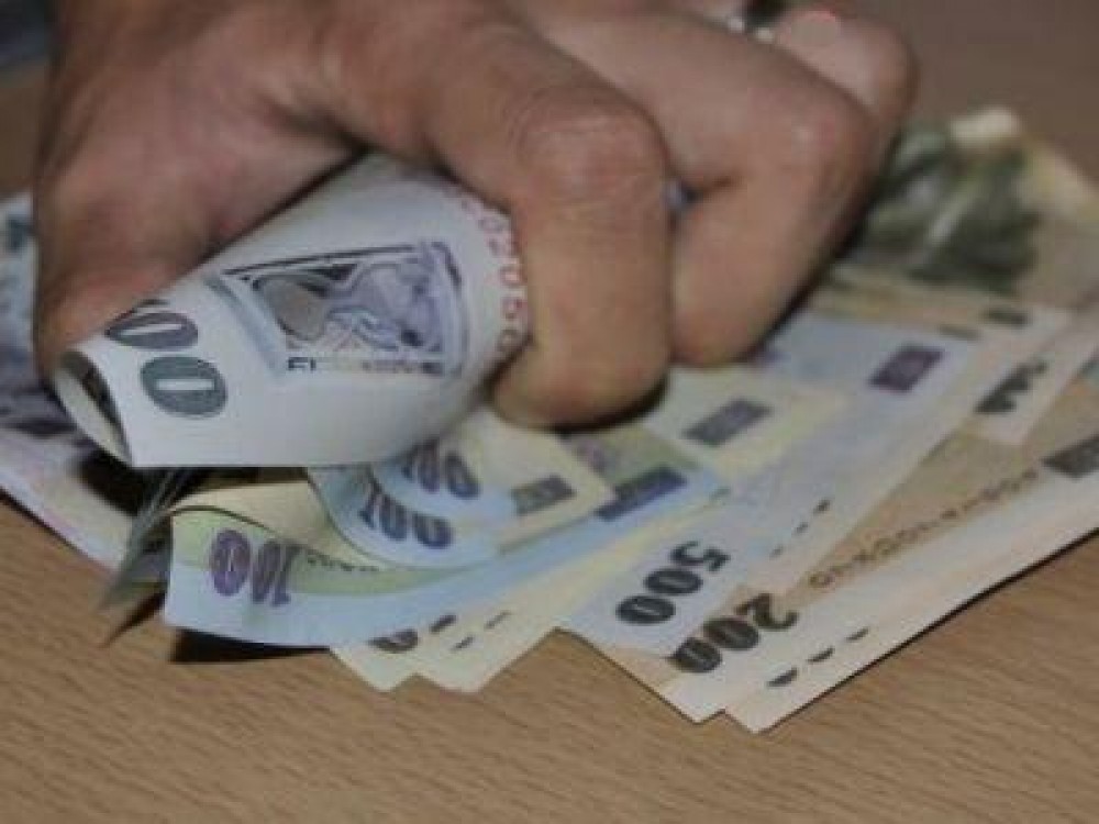 Fermierii cu sanctiuni economico-financiare in cazierul judiciar nu pot primi finantari prin PNDR