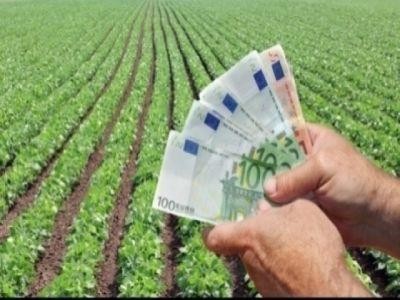 Ce contine Ghidul solicitantului pentru infiintarea grupurilor operationale si pentru  proiectelor pilot in sectorul agricol si pomicol