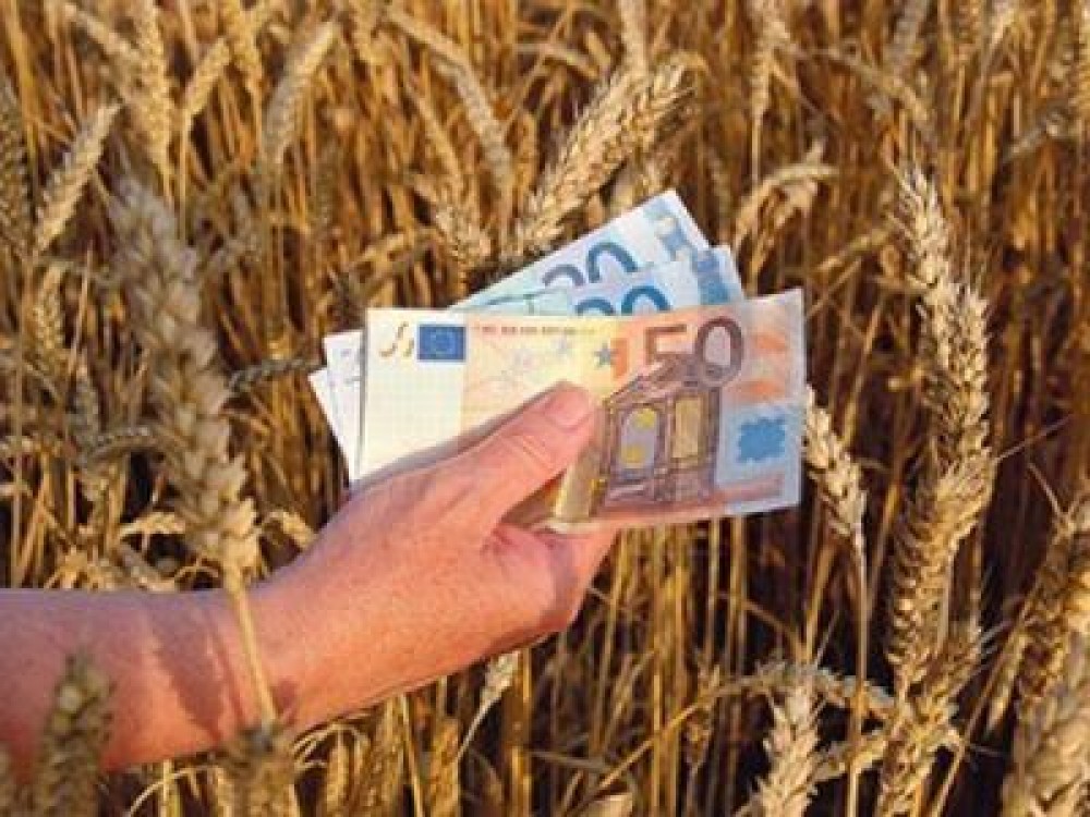 Sectorul agricol incepe sa castige increderea bancherilor
