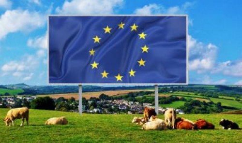 Tinerii fermieri pot obtine 50.000 de euro pentru o ferma