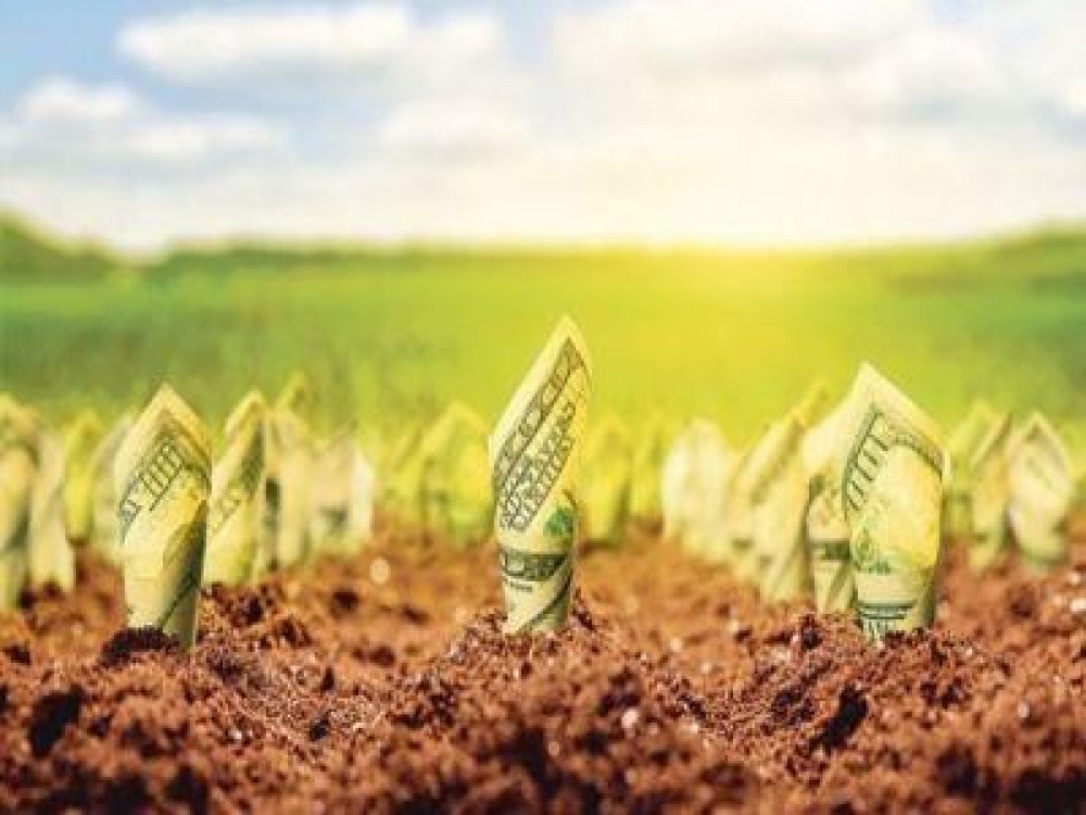 Fonduri mai mari alocate prin PNDR, in urmatorul ciclu financiar