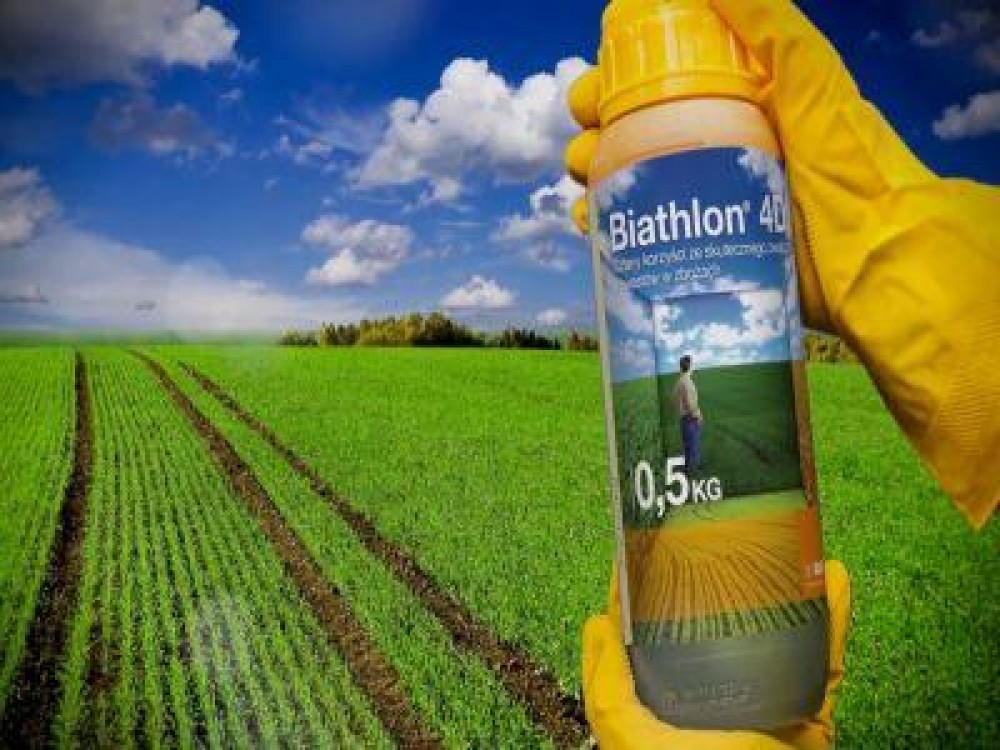 Beneficiile folosirii erbicidului BASF Biathlon® 4D