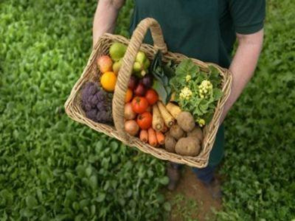 De anul viitor scade TVA-ul la produsele bio
