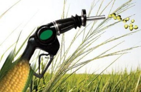 Autoritatile europene limiteaza productia de biocombustibili traditionali