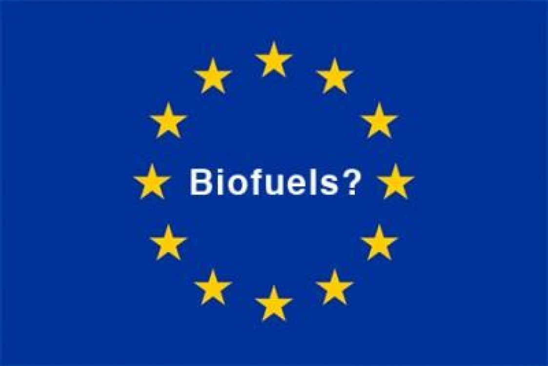 Uniunea Europeana isi schimba viziunea asupra promovarii biocombustibililor