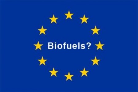 Uniunea Europeana isi schimba viziunea asupra promovarii biocombustibililor