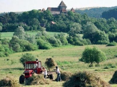 Ce finantari pot primi fermierii care protejeaza mediul