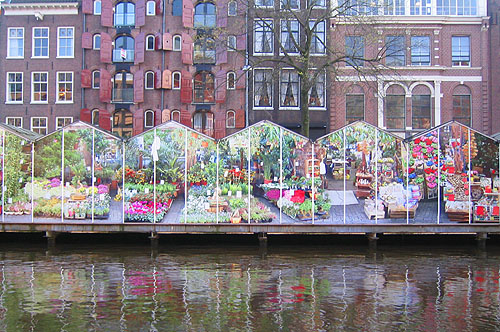 destinatii-de-calatorie-bloemenmarkt-piata-de-flori-din-amsterdam