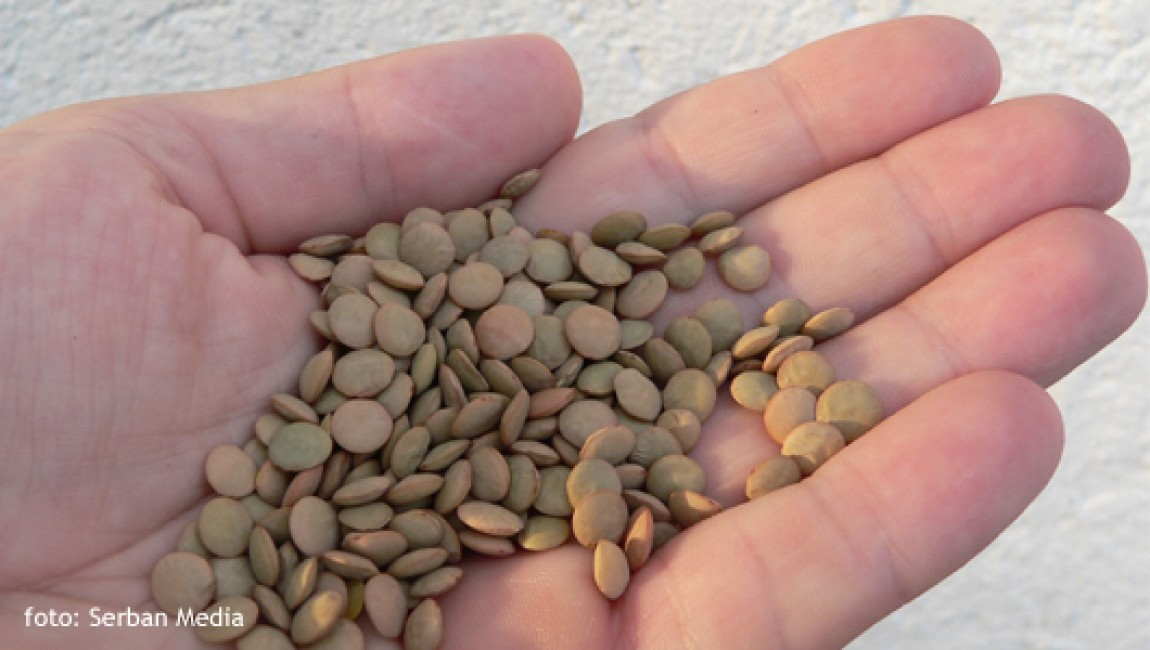 Produsele ecologice romanesti, acum si kosher