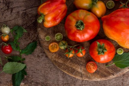 Sfaturi utile pentru apararea rosiilor de daunatori