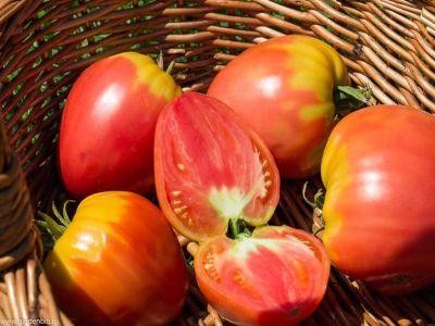 Rosiile romanesti din soiul „Inima de bou” vor ajunge pe piata de saptamana viitoare