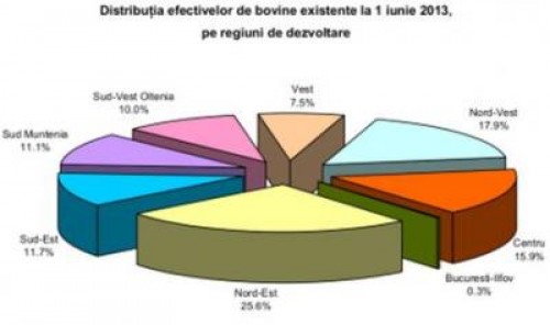 Statistici 2013: Numarul de bovine, in scadere fata de anul trecut