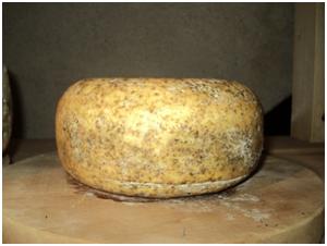 Produse tradiţionale: brânza maturată de Saschiz