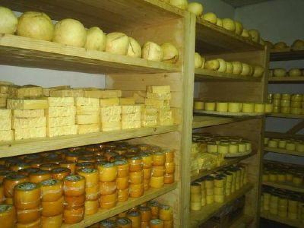 Productia de branzeturi romanesti, in scadere