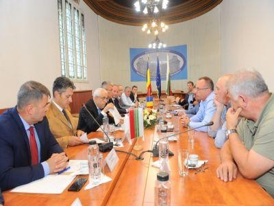 Autoritatile din Romania si Bulgaria s-au intalnit pentru a discuta despre pesta porcina africana