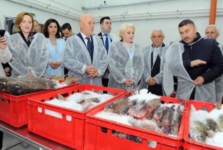 Bursa de peste de la Tulcea, deja inaugurata de doua ori, inchisa