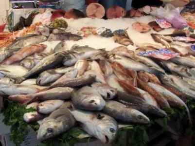 Guvernul a aprobat indicatorii tehnico-economici pentru Bursa de Peste din Tulcea