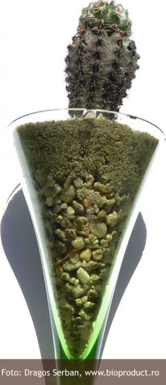 Concept: Un pic mai intepator! alunga monotonia la birou!