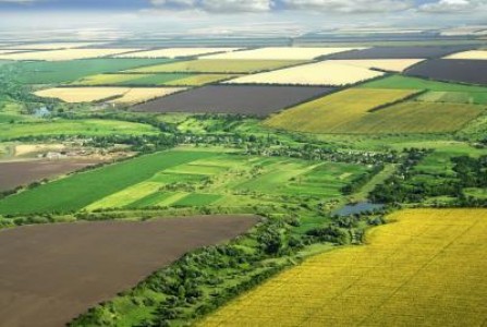 Stelian Dolha, PNL: Camera Deputatilor blocheaza legea intabularii gratuite a terenurilor agricole
