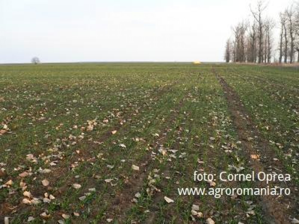 Au cerut cadastrul in subordinea ministerului agriculturii