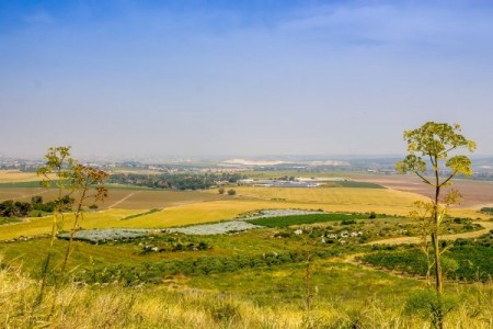 Cadastru gratuit pentru terenuri. Care sunt pasii de urmat