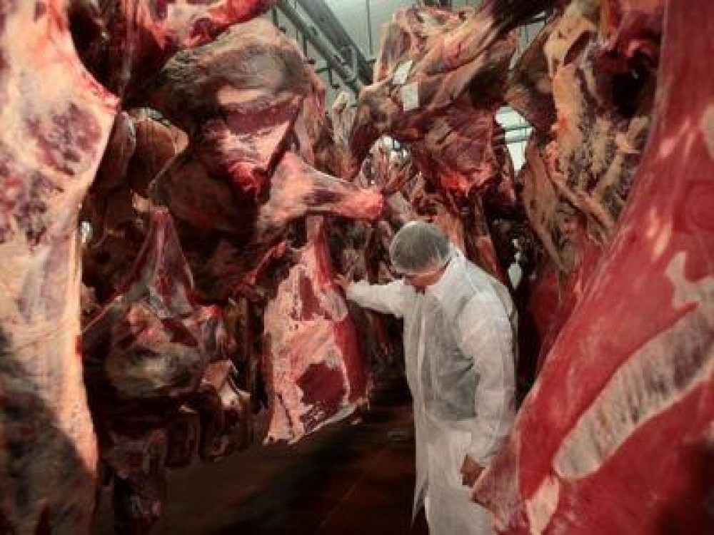 Anchetatorii au dat verdictul in cazul scandalului european al carnii de cal