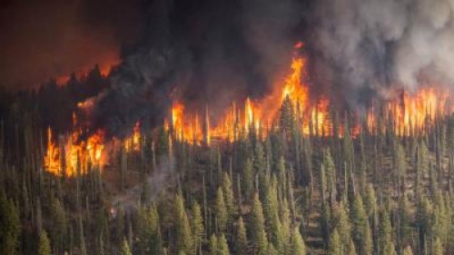 Caldura extrema si incendiile din zona arctica, motive de ingrijorare pentru romani