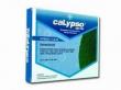 Insecticide pentru combaterea omizilor: Calypso 480 SC