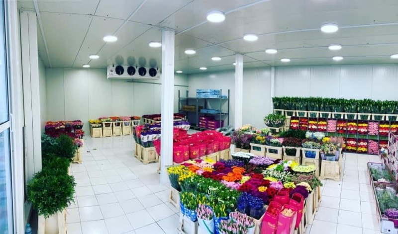 Cum pot florile rezista mai mult cand sunt pastrate corect