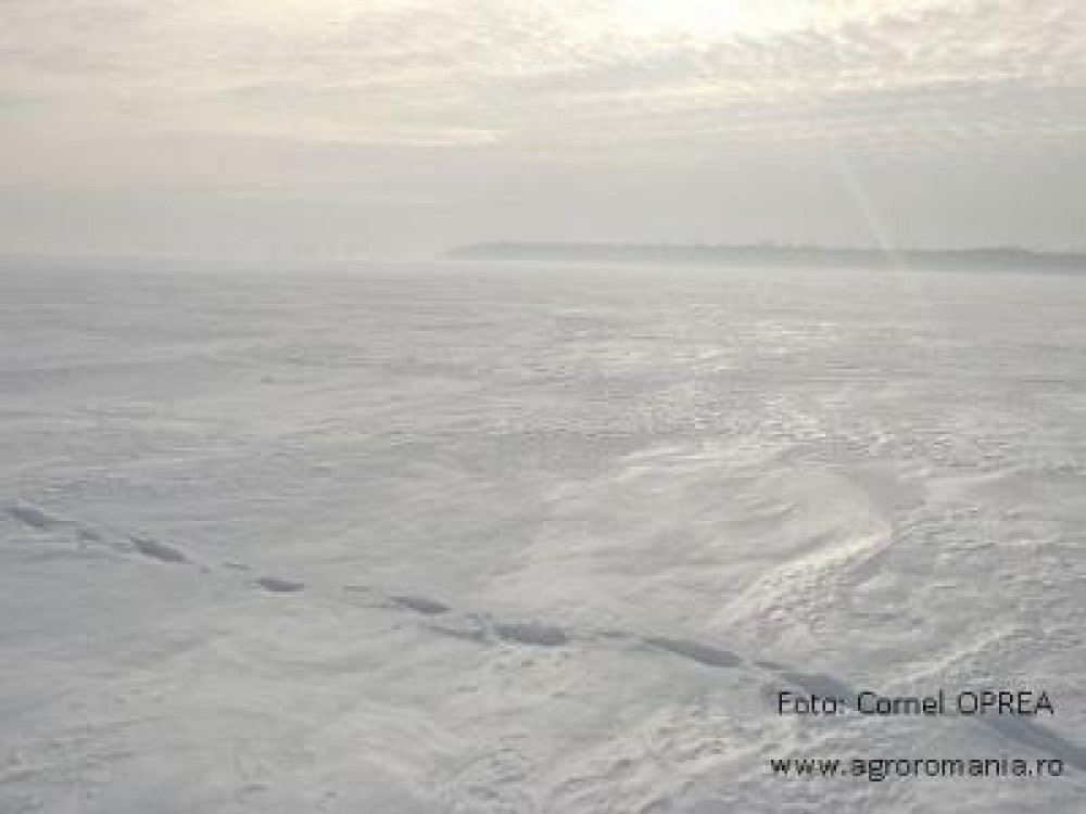 Ce pericole ne asteapta la inceputul lui martie, in cultura mare