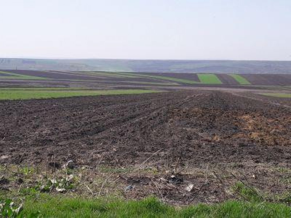 Buletin agrometeorologic pentru perioada 25 februarie - 1 martie