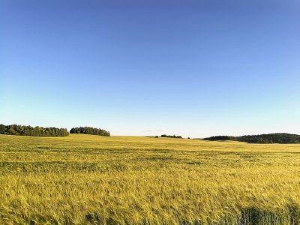 Buletin agrometeorologic pentru perioada 1-7 iunie