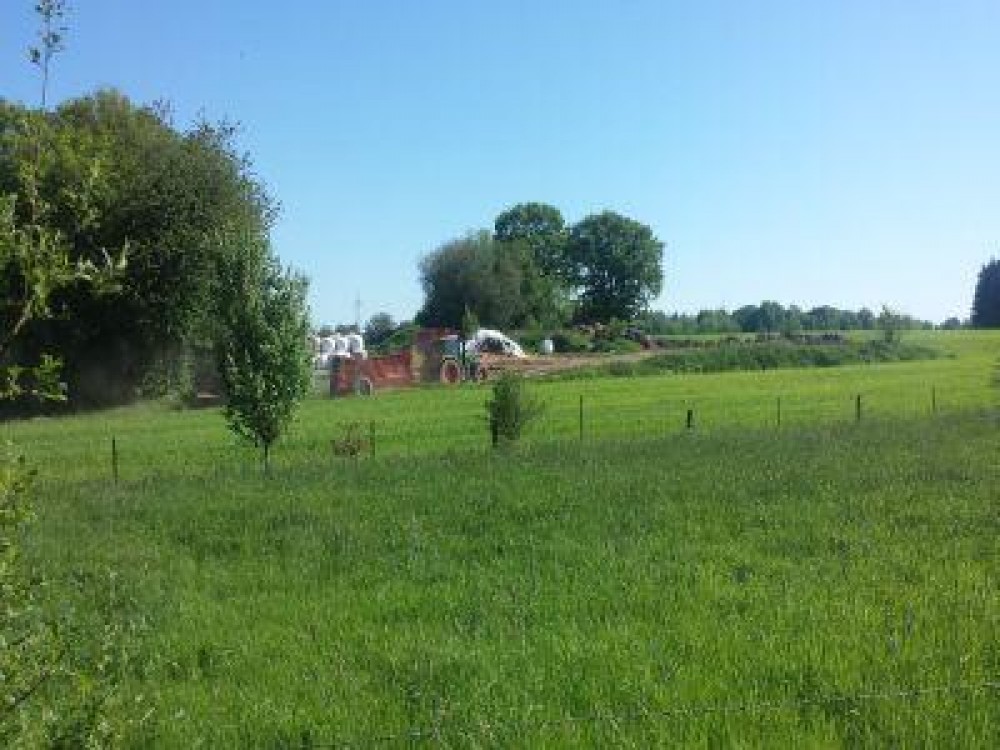 Buletin agrometeorologic pentru perioada 16-22 mai