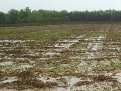 Minim de lucrari agricole necesare a fi executate primavara.