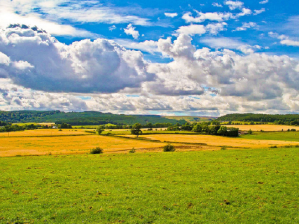 Buletin agrometeorologic pentru perioada 10-16 iunie