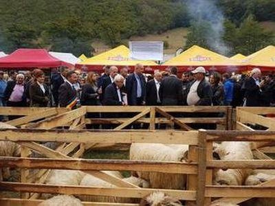 Campania „Alege oaia!” ajunge la Ploiesti